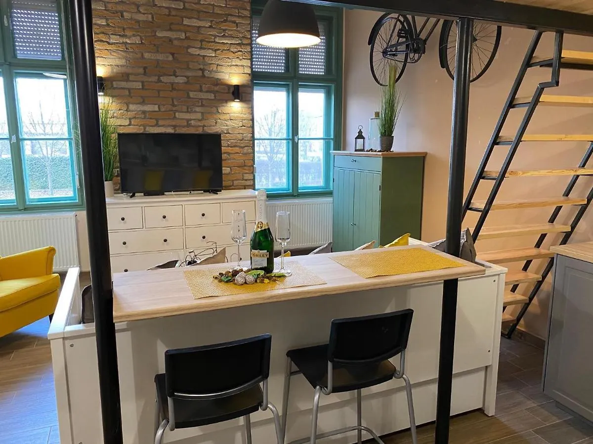 Pedal Apartman Szeged City 0*,
